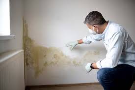 Biohazard Mold Removal in Edgar, WI